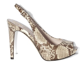 HALCAXG210_Shereen Shabnam - AED475