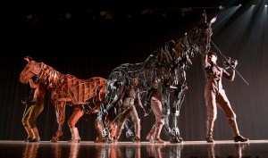 Shereen Shabnam War Horse Concert