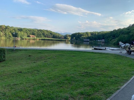 4e7a9200-7ee1-4db2-9b90-7d7dd1fb948e